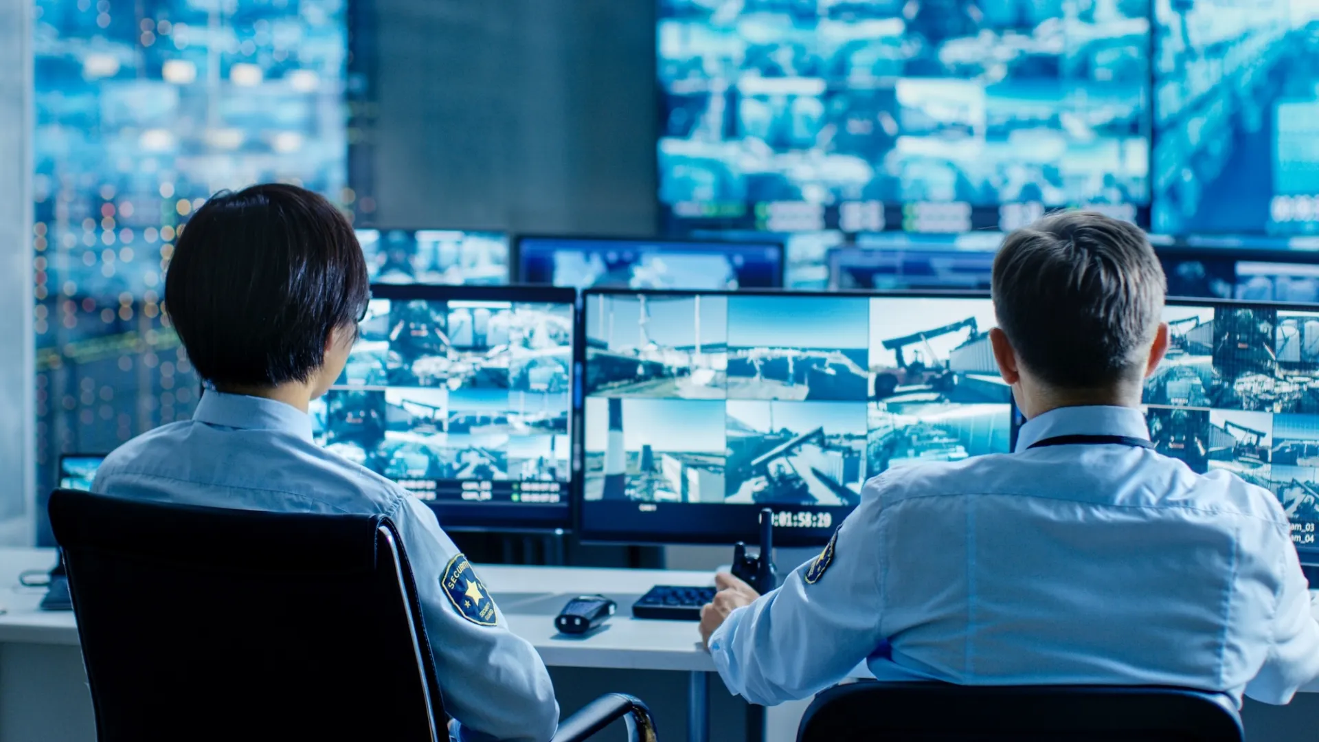 Télésurveillance